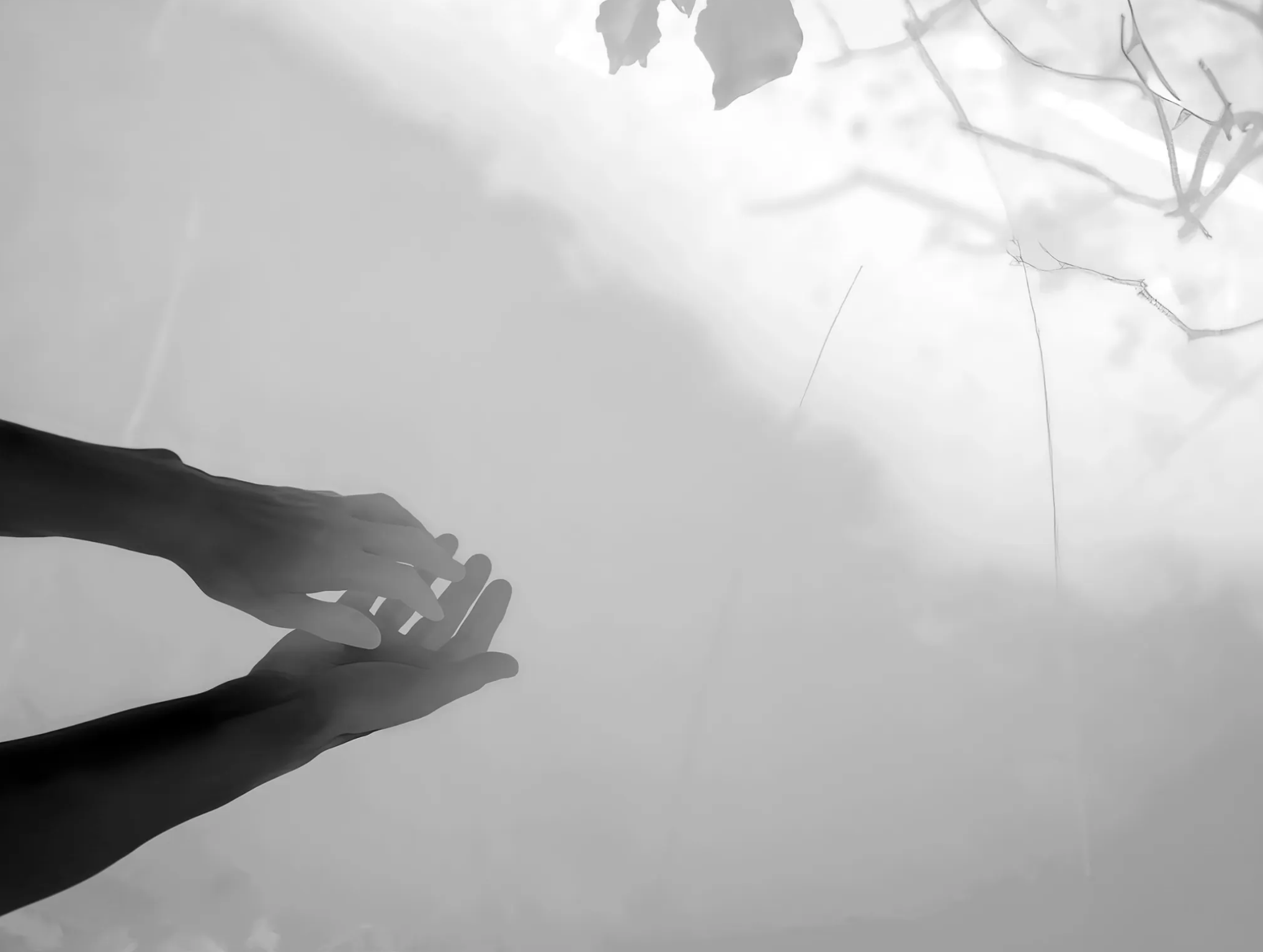 Comme des Garçons презентовал парфюм Max Richter 01 (фото 2)