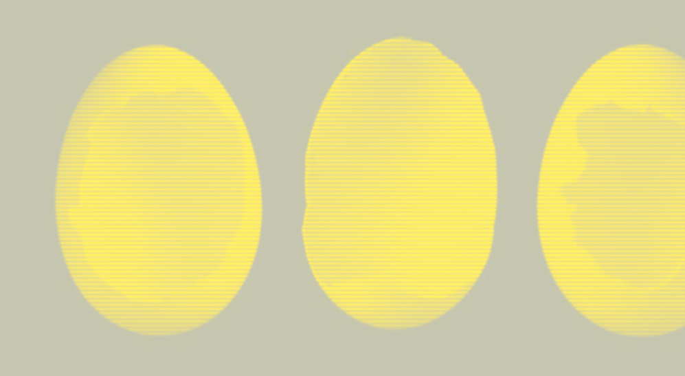 Вредны или полезны яйца? Разбираемся, стоит ли включать их в рацион (фото 3)