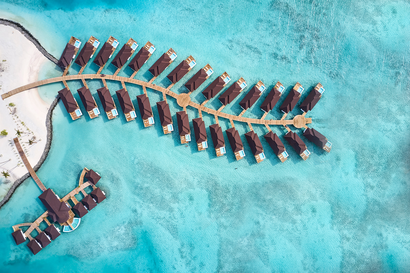 Искать сокровища, смотреть на акул, заниматься серфингом: зачем ехать на курорт Sun Siyam OlhuvelI (фото 3)