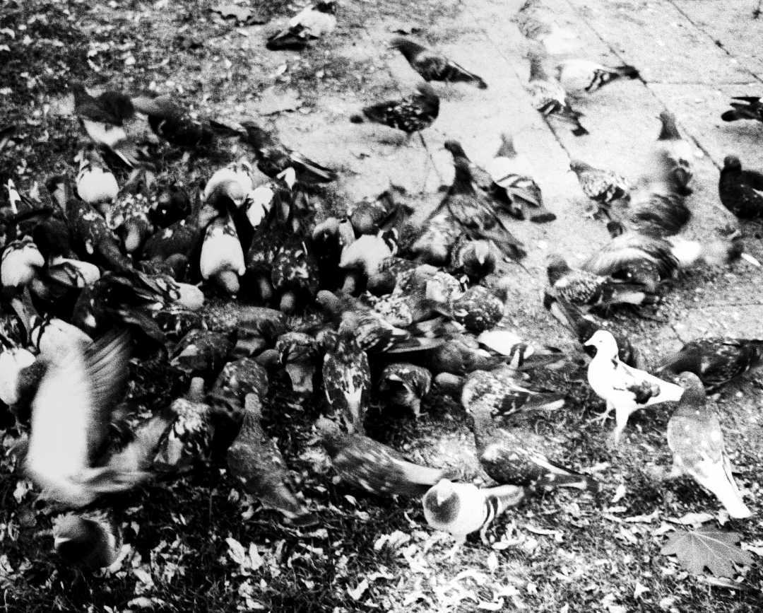 BURO. на выход: светский календарь недели (фото 7)