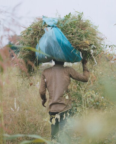 Mango и Materra представили коллекцию из регенеративного хлопка (фото 1)