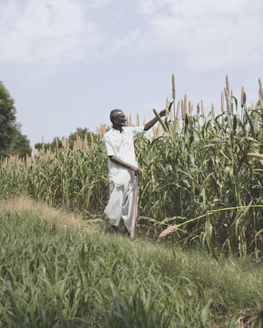 Mango и Materra представили коллекцию из регенеративного хлопка (фото 2)