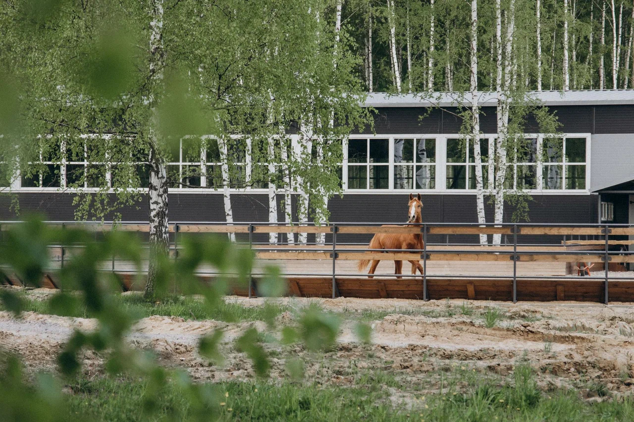 Комфортная юрта, отель на берегу Волги и домик в лесу: 15 мест, где можно провести конец лета (фото 31)