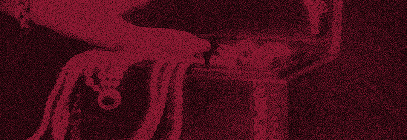 «Вокруг них всегда закручивается вихрь разрушений»: Ольга Хейфиц — о роковых женщинах в культуре (фото 5)