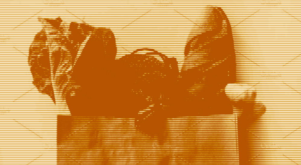 Сложные углеводы и фрукты: как подготовить себя и свой организм к осени с помощью питания (фото 3)