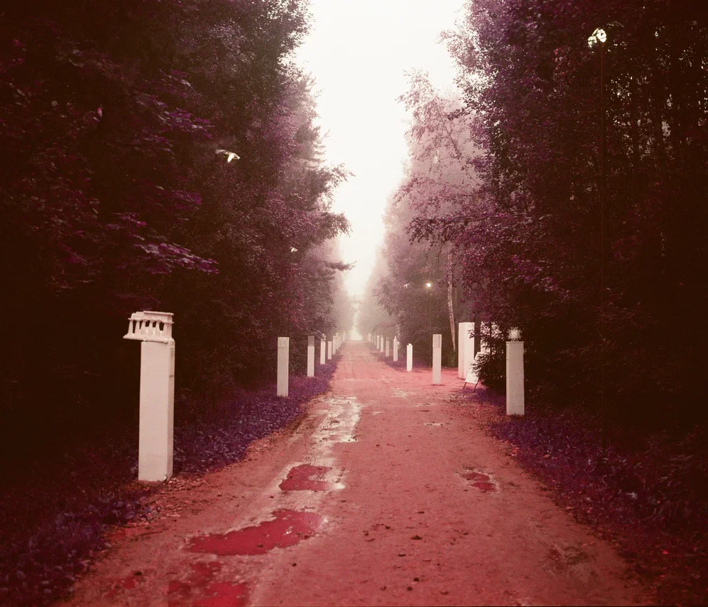 На фестивале «Архстояние — 2025» представили фотопроект о фиксации мгновения (фото 5)