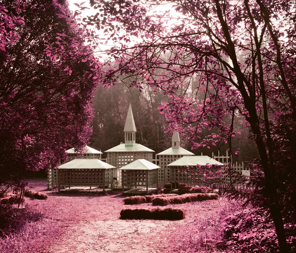 На фестивале «Архстояние — 2025» представили фотопроект о фиксации мгновения (фото 2)