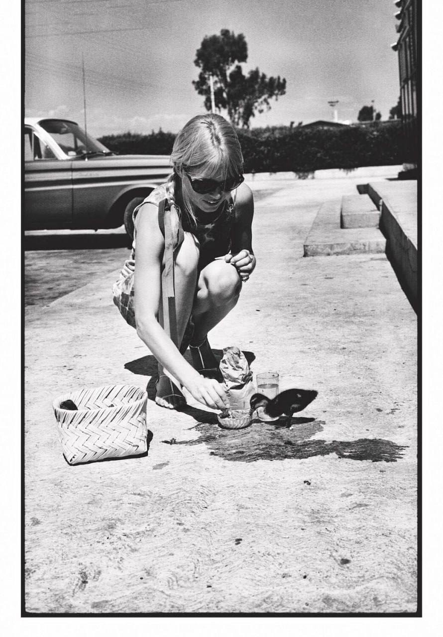 Выходит книга о французской актрисе Брижит Бардо (фото 6)