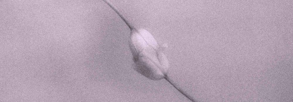 Секс-игрушки: компаньон, соперник или посредник? (18+) (фото 4)