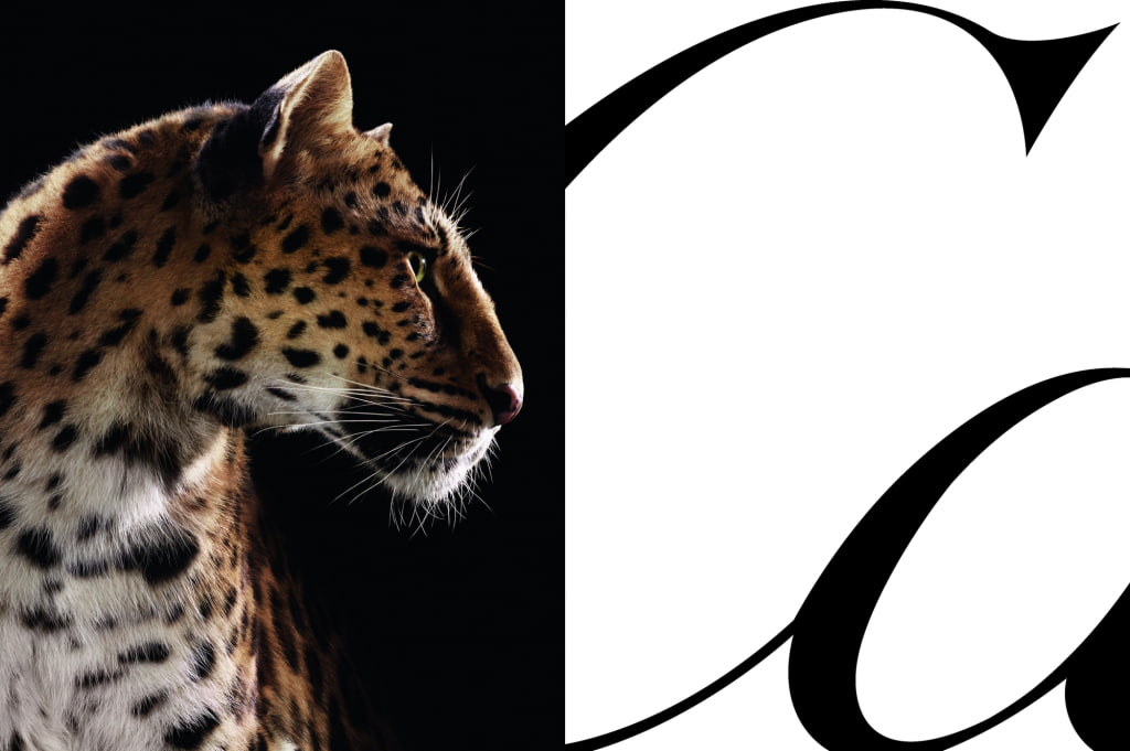 Cartier показал рекламную кампанию с пантерой (фото 1)