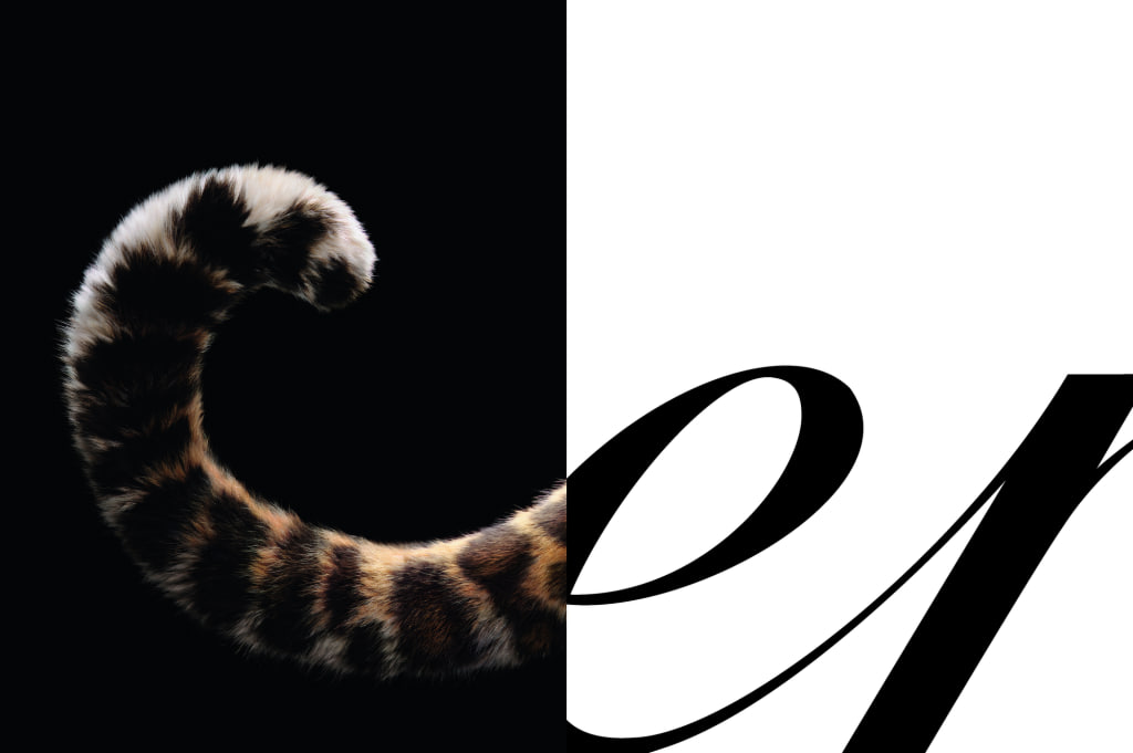 Cartier показал рекламную кампанию с пантерой (фото 4)