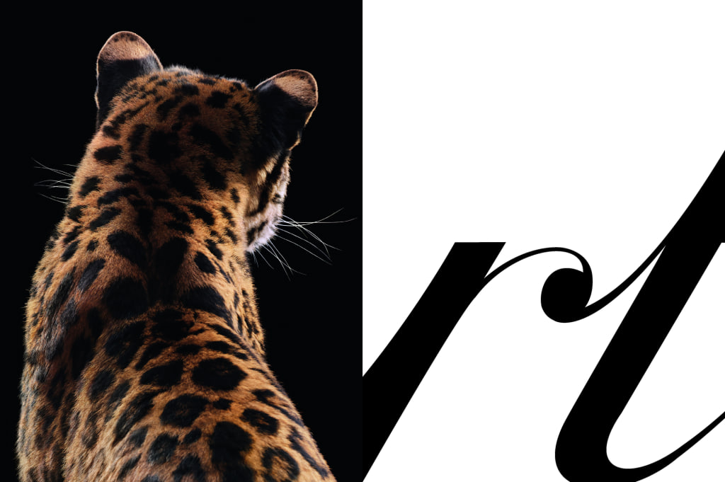 Cartier показал рекламную кампанию с пантерой (фото 2)