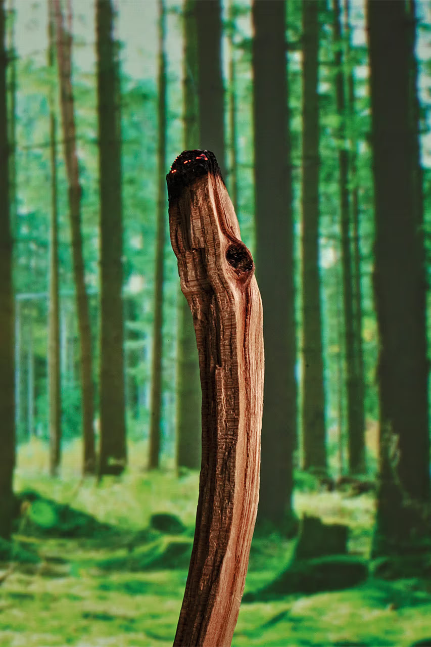 Loewe Perfumes презентовал ароматические свечи Palo Santo (фото 4)