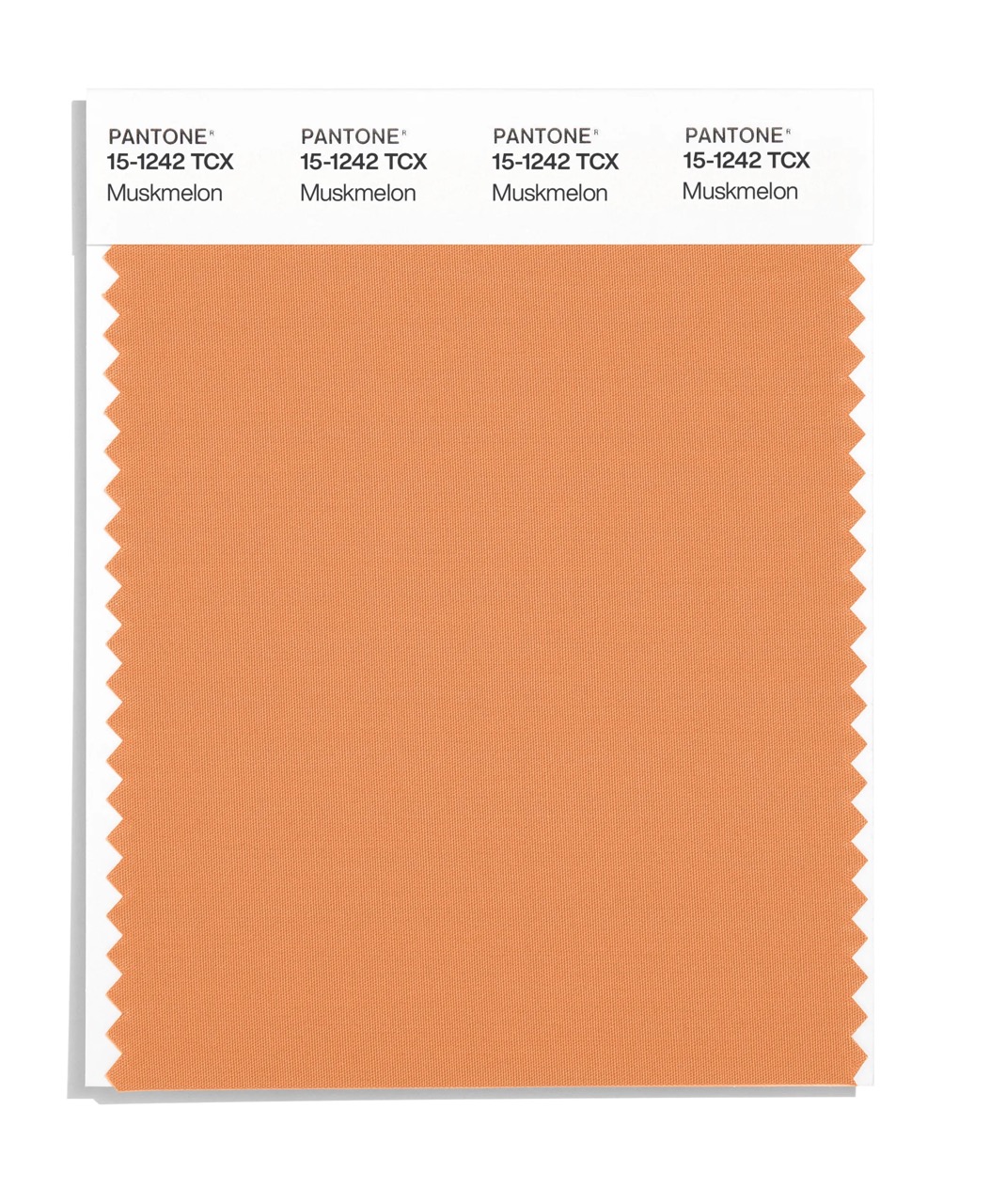 Pantone представил отчет о главных цветах Недели моды в Нью-Йорке (фото 4)