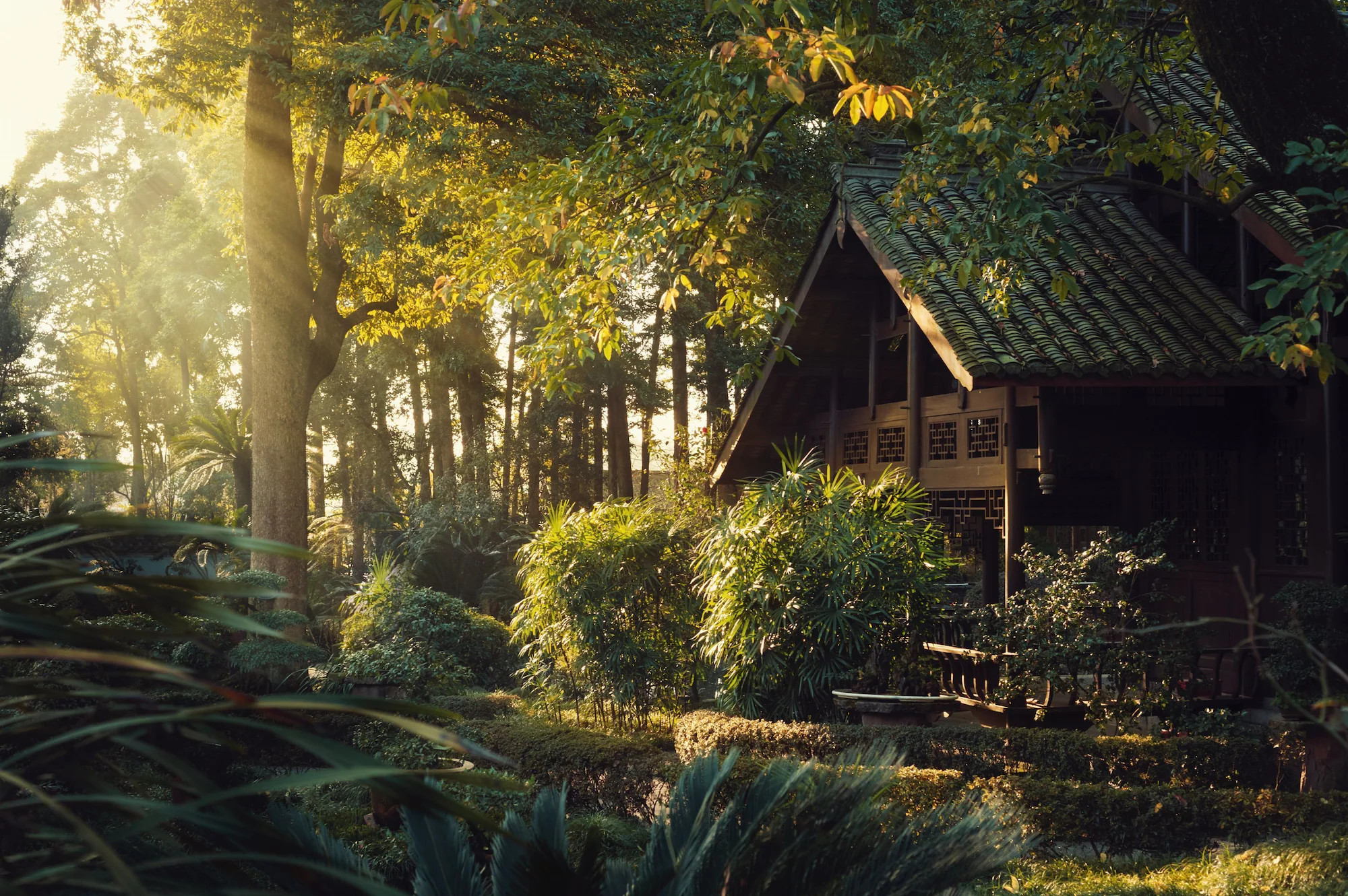 Где жить в Китае? Классные отели от Шанхая до Хунаня (фото 22)