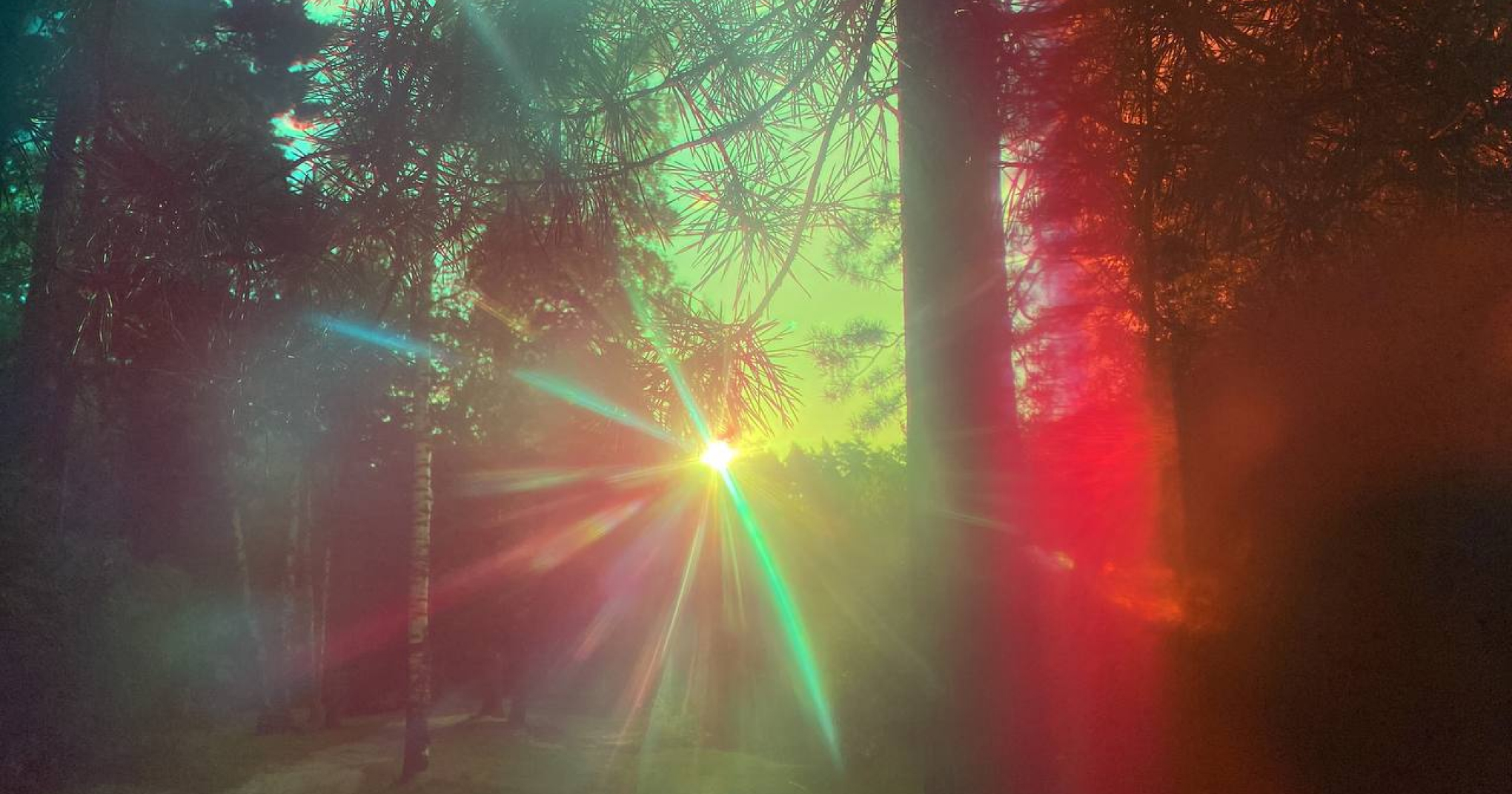 Арт-резиденция «Гало» откроет выставку «Резонанс» (фото 1)