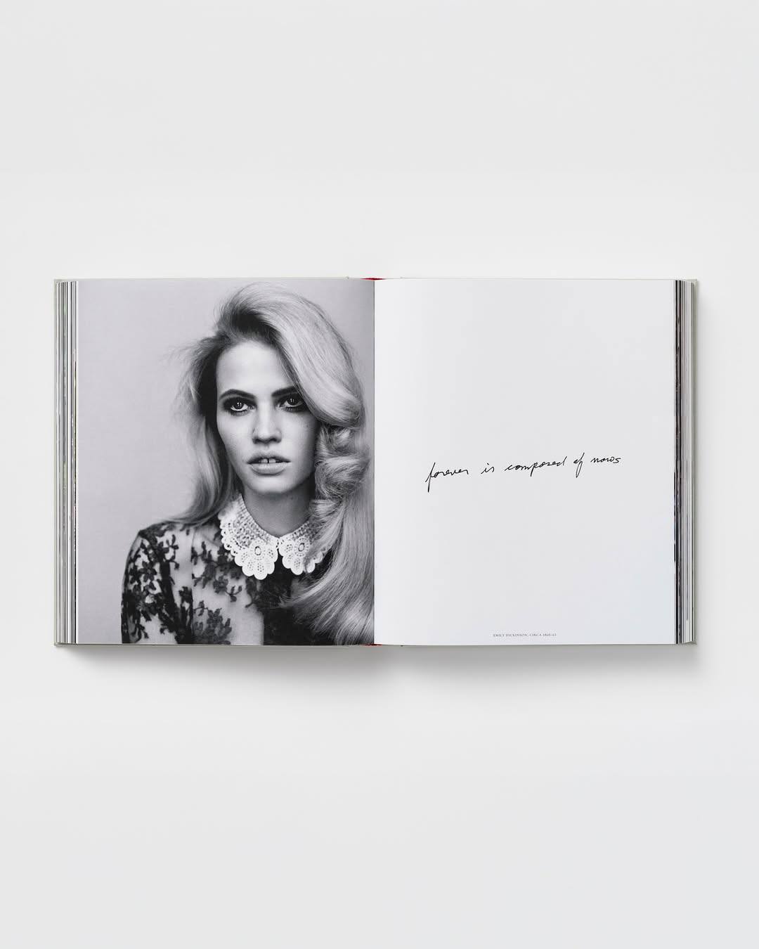 Выйдет монография дизайнера Эрдема Моралиоглу (фото 5)