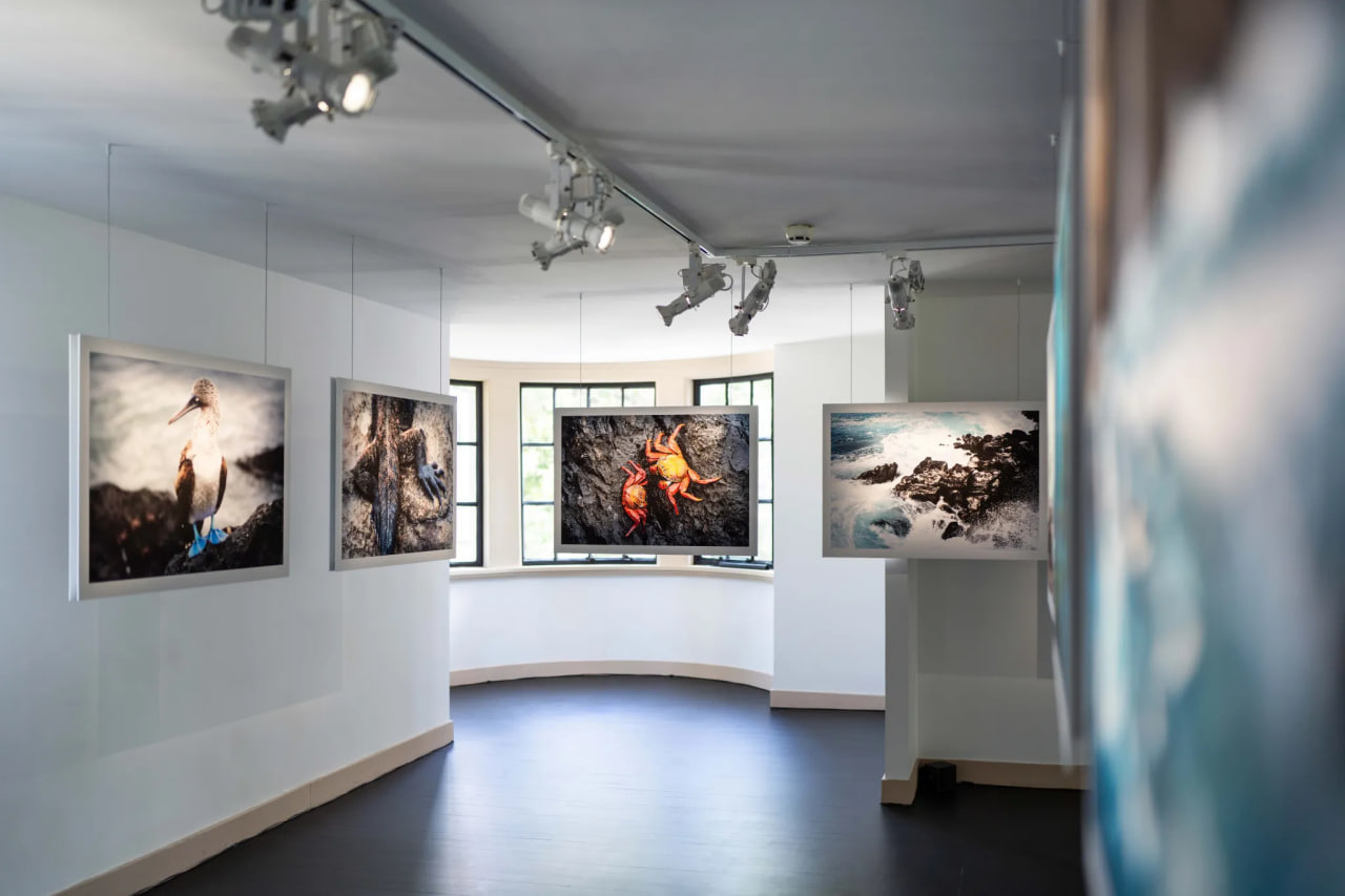 Prada Group запустила образовательную программу Sea Beyond в Шанхае (фото 1)