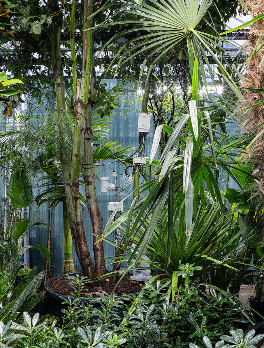 Где жить, что есть и смотреть в Венеции. Краткий гид от Павла Боброва (фото 20)