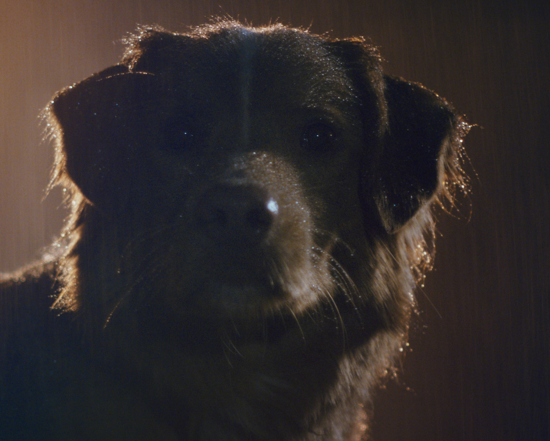 BURO. на выход: светский календарь недели (фото 2)