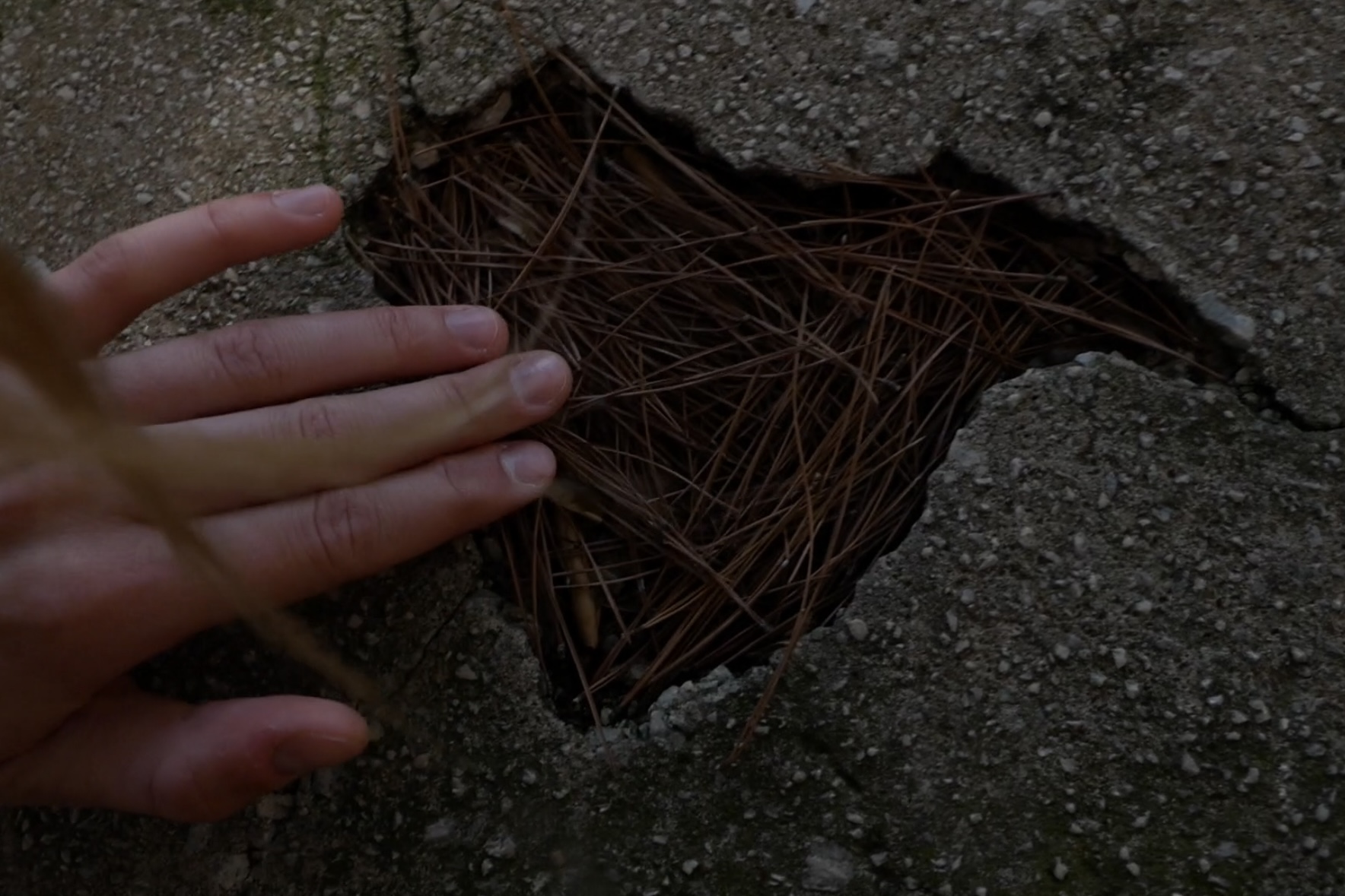 В ноябре состоится кинофестиваль Beat Weekend (фото 1)