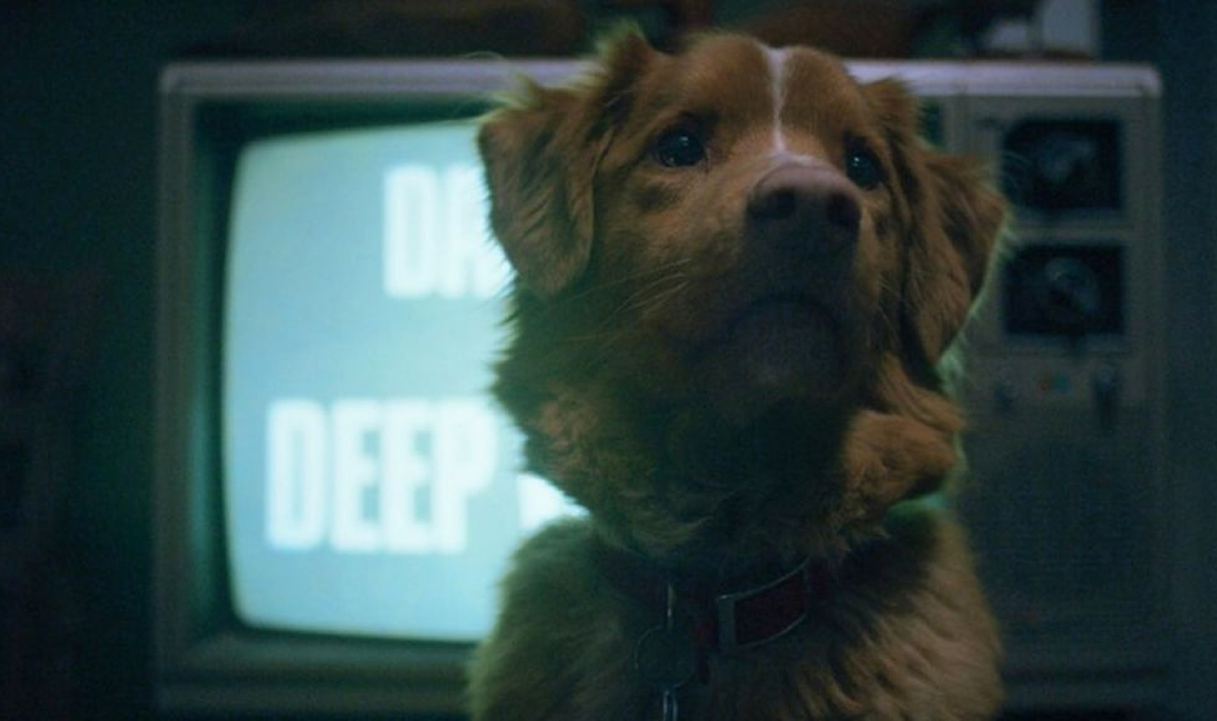 Больше, чем страх: пять умных и тонких хорроров, вышедших в 2025 году (фото 2)