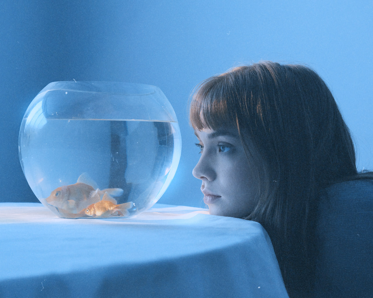 Группа «внимание брусника!» выпустила новый альбом (фото 3)