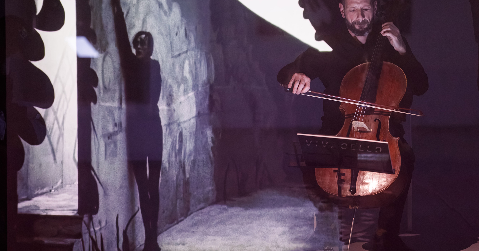 В Москве состоится XVII Международный виолончельный фестиваль Vivacello (фото 1)