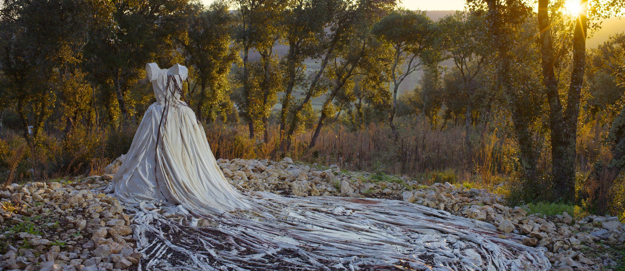 «Время брутализма» и «Я — Мартин Парр»: что смотреть на Beat Weekend 2025. Выбор BURO. (фото 2)