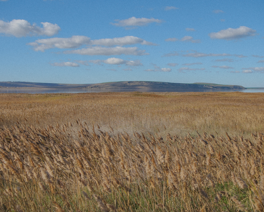 BURO. на выход: светский календарь недели (фото 7)