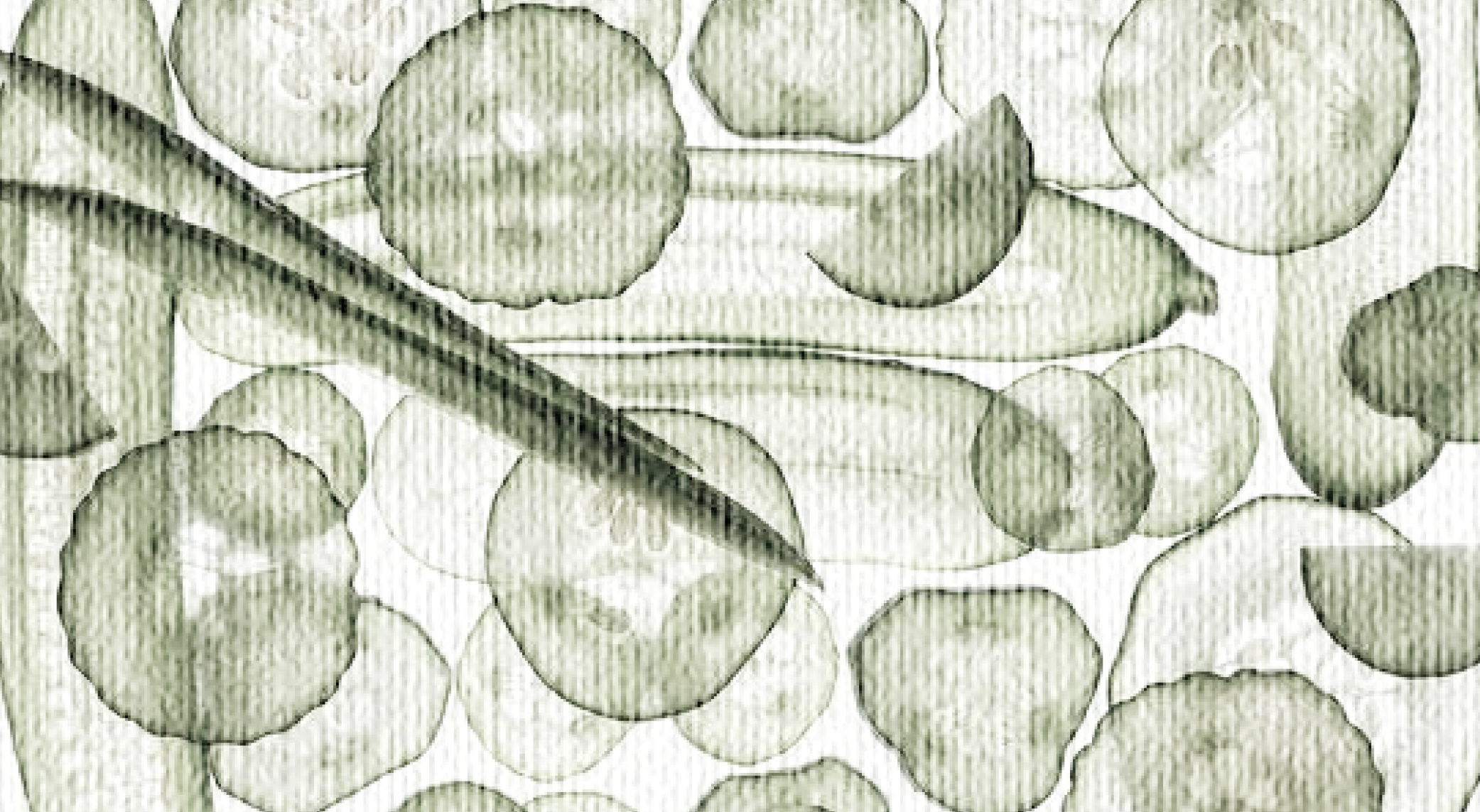 Что влияет на скорость пищеварения, и есть ли продукты, которые не стоит сочетать? Отвечает эксперт (фото 2)