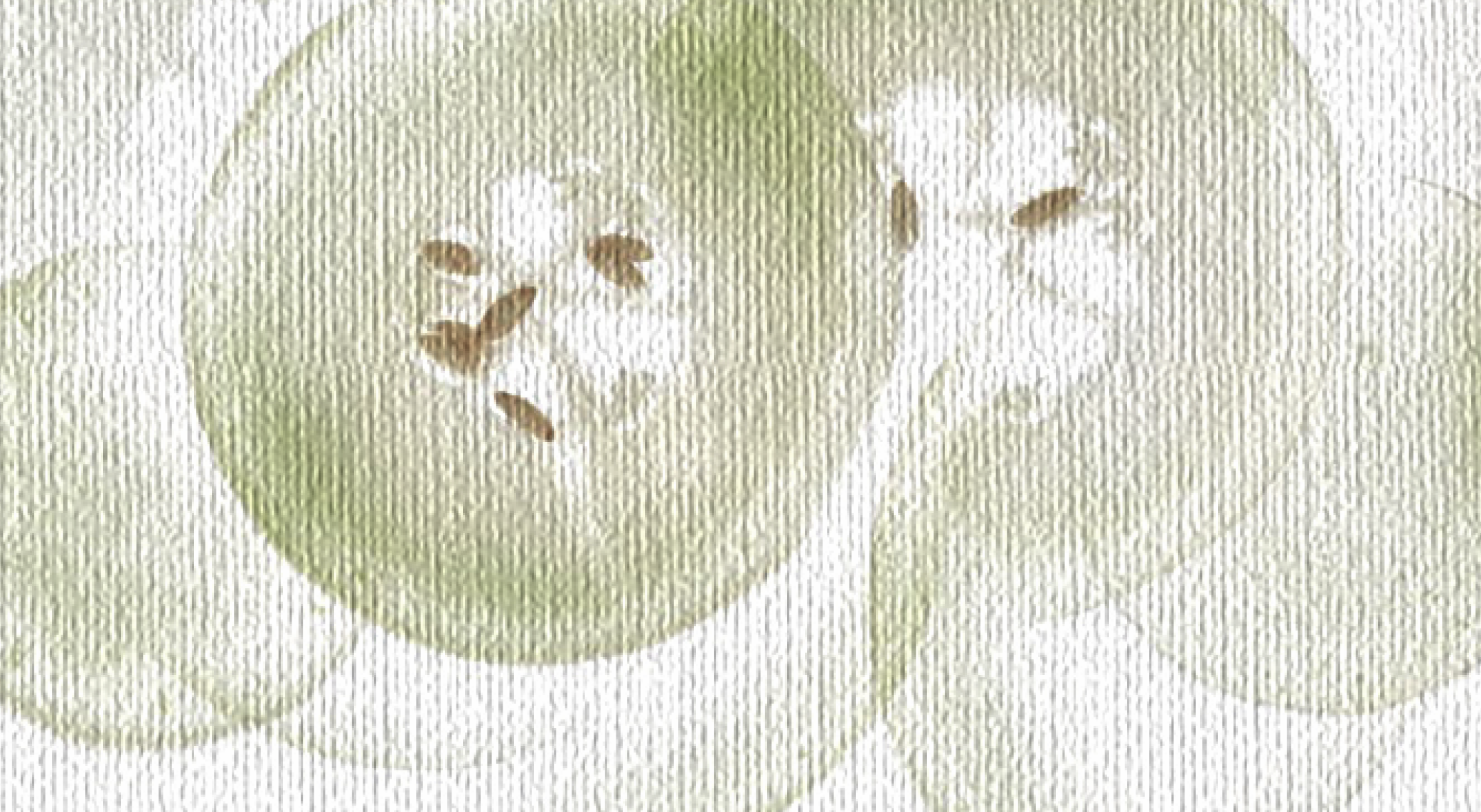 Что влияет на скорость пищеварения, и есть ли продукты, которые не стоит сочетать? Отвечает эксперт (фото 4)