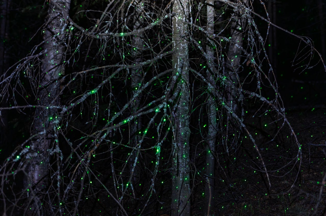 Кинетические объекты, стрит-арт и фольклор: работы художников — победителей Scan Awards 2025 (фото 3)