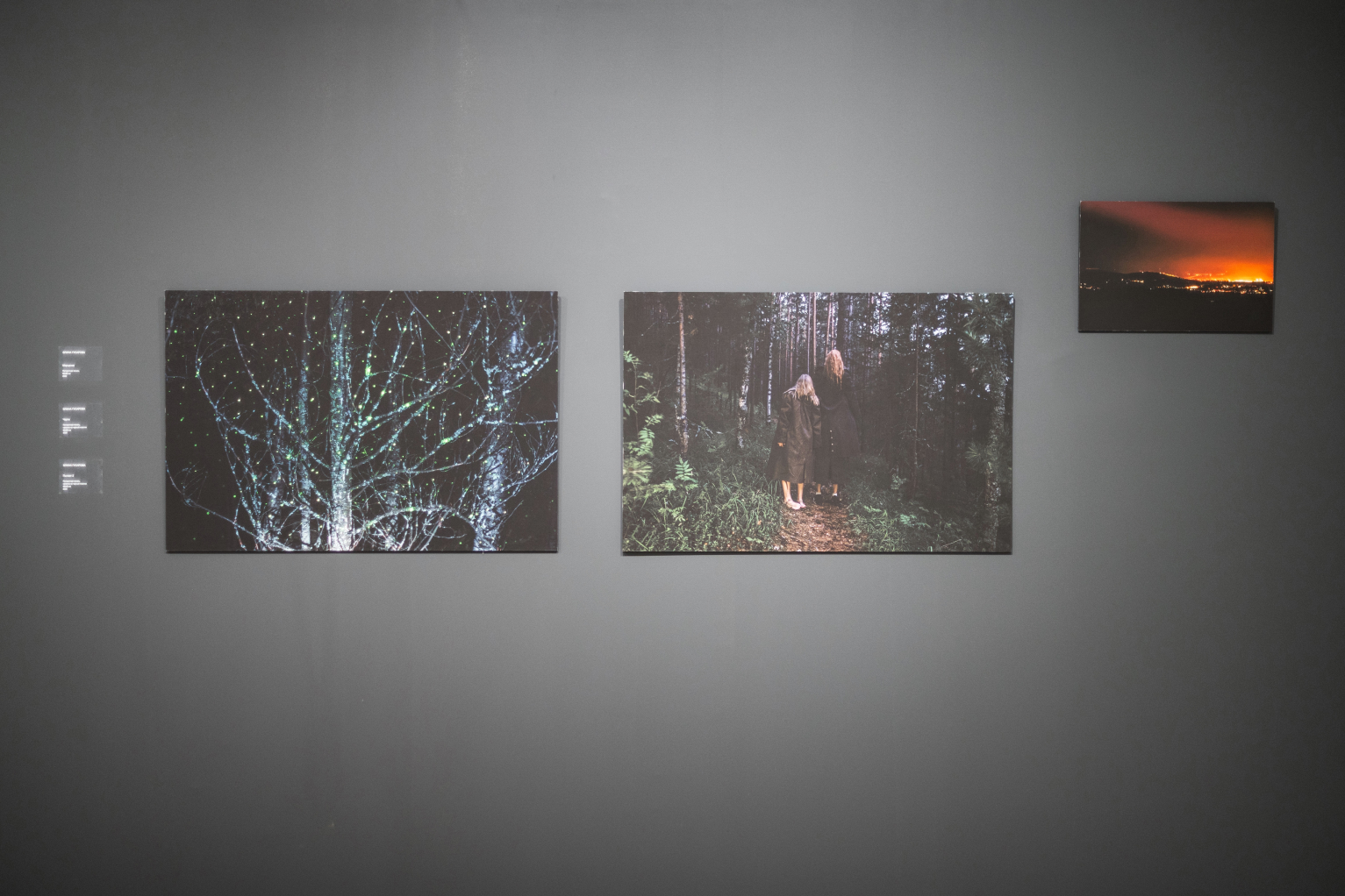 Кинетические объекты, стрит-арт и фольклор: работы художников — победителей Scan Awards 2025 (фото 4)