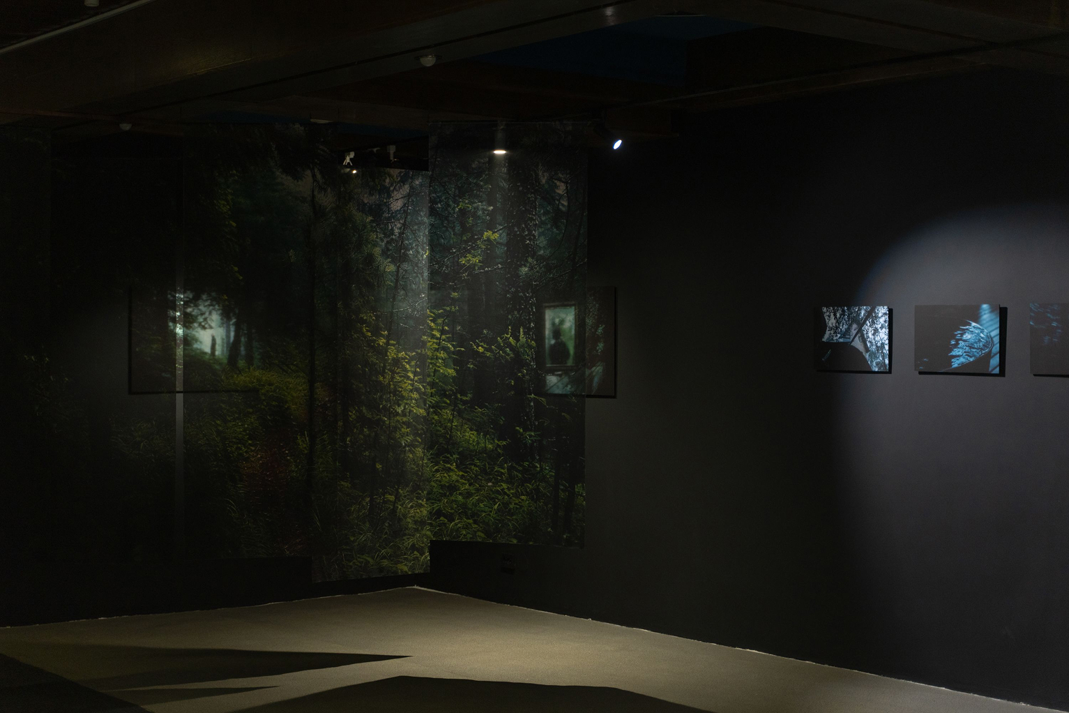 Кинетические объекты, стрит-арт и фольклор: работы художников — победителей Scan Awards 2025 (фото 5)