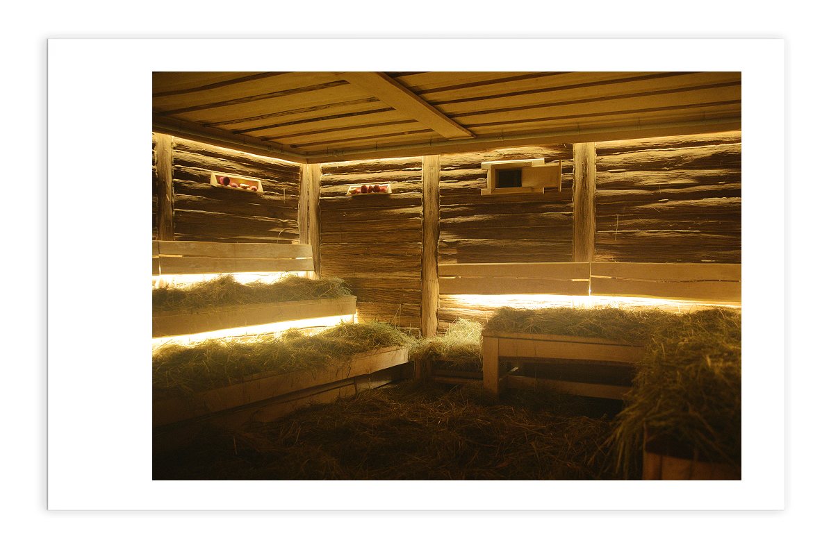 «С легким паром»: бани и SPA-комплексы Москвы для полной перезагрузки (фото 2)