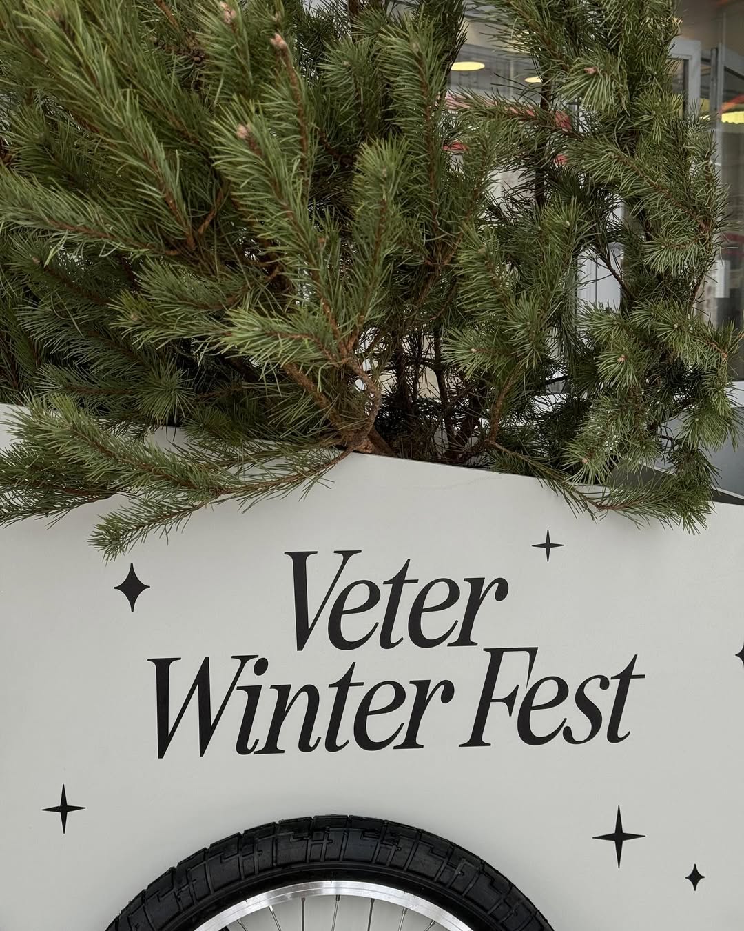 В Москве пройдет зимний фестиваль Veter Fest (фото 1)