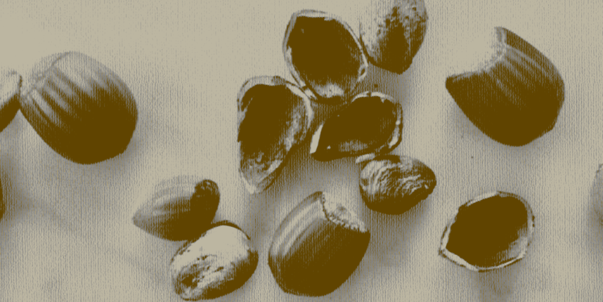 Как орехи влияют на организм и есть ли норма их потребления? Отвечает эксперт (фото 2)