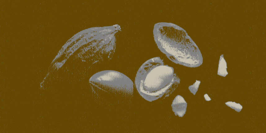 Как орехи влияют на организм и есть ли норма их потребления? Отвечает эксперт (фото 3)