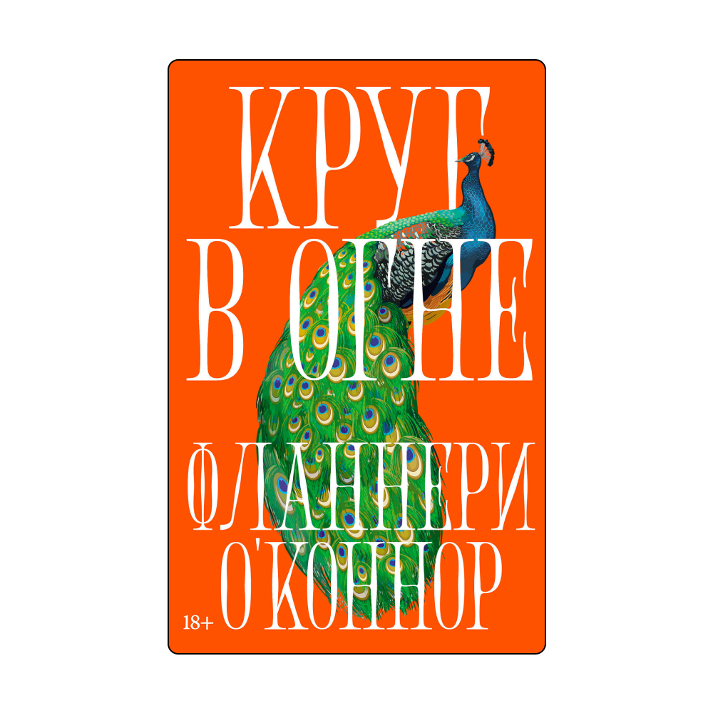 Новый роман Иванова и нескучная биография Ленина: какие книги искать на ярмарке non/fictio№ (фото 7)