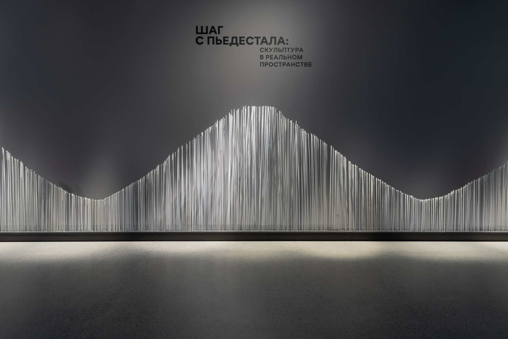 Нежные прутья, хтоническая инсталляция и искусство Африки: что посмотреть в новом музее «ЗИЛАРТ» (фото 8)