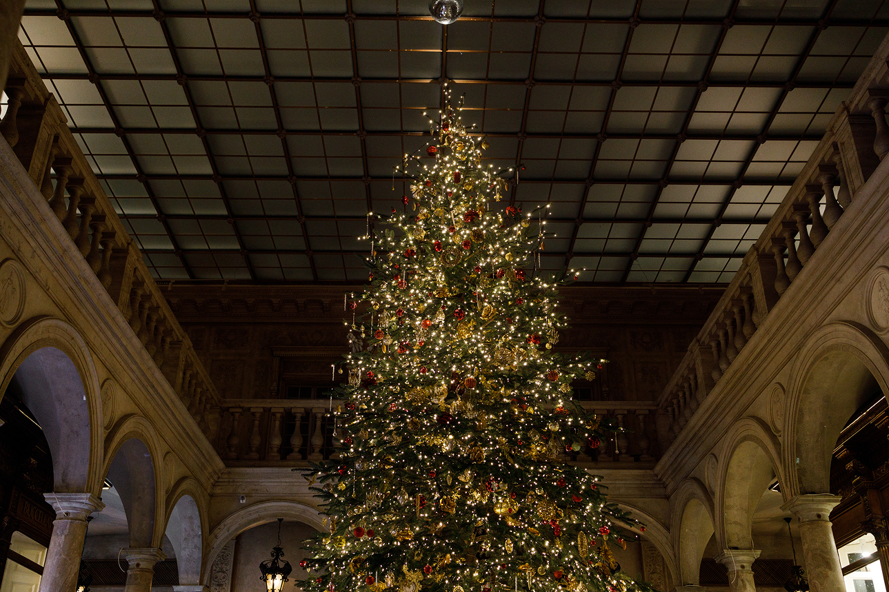 «Турандот», «Сахалин» и «Метрополь»: где в Москве праздновать Новый год 2026 (фото 13)
