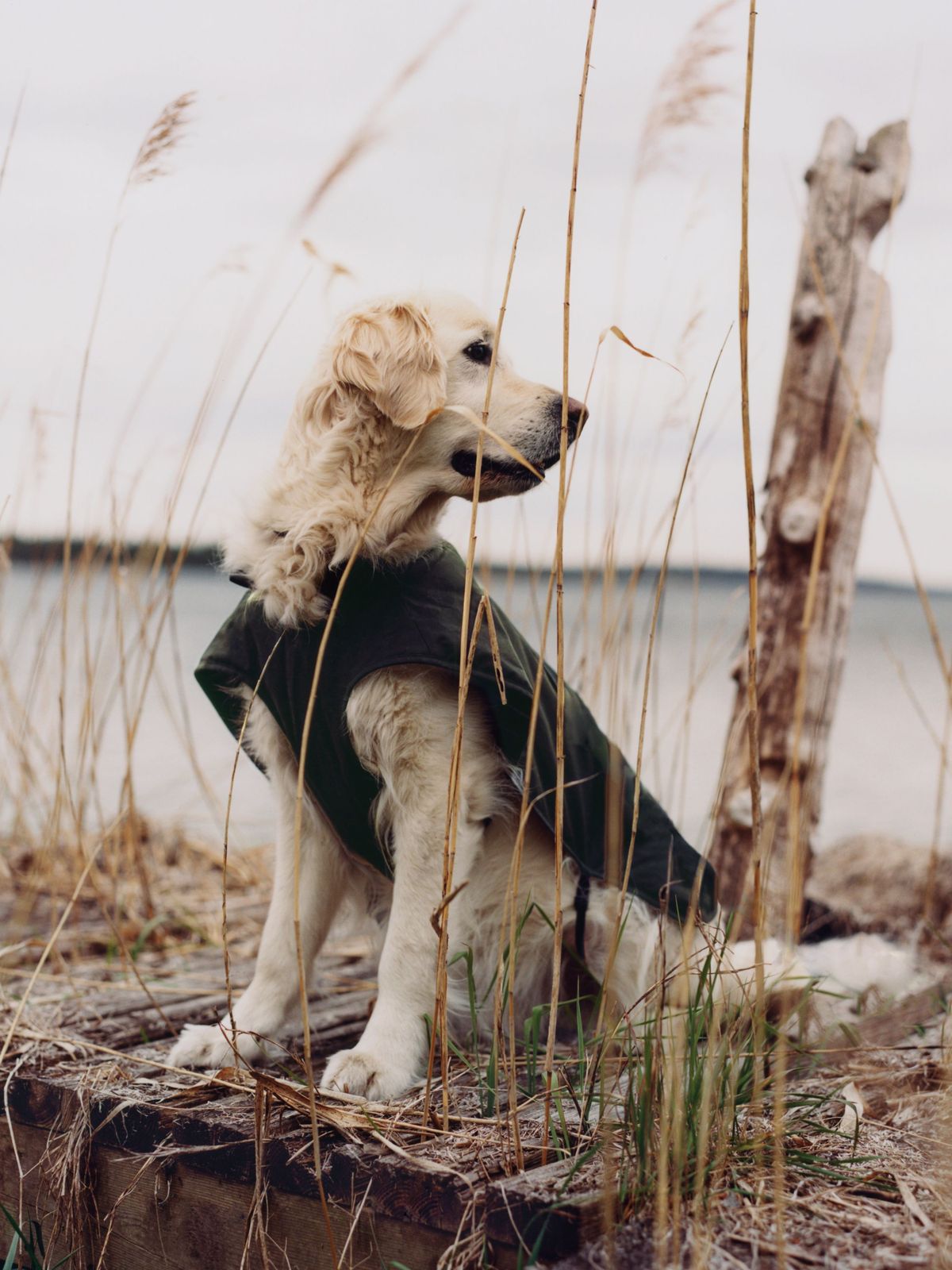 H&M x Glenn Martens, Zara x Soshiotsuki: фэшн-коллаборации, которыми нам запомнится 2025 год (фото 13)