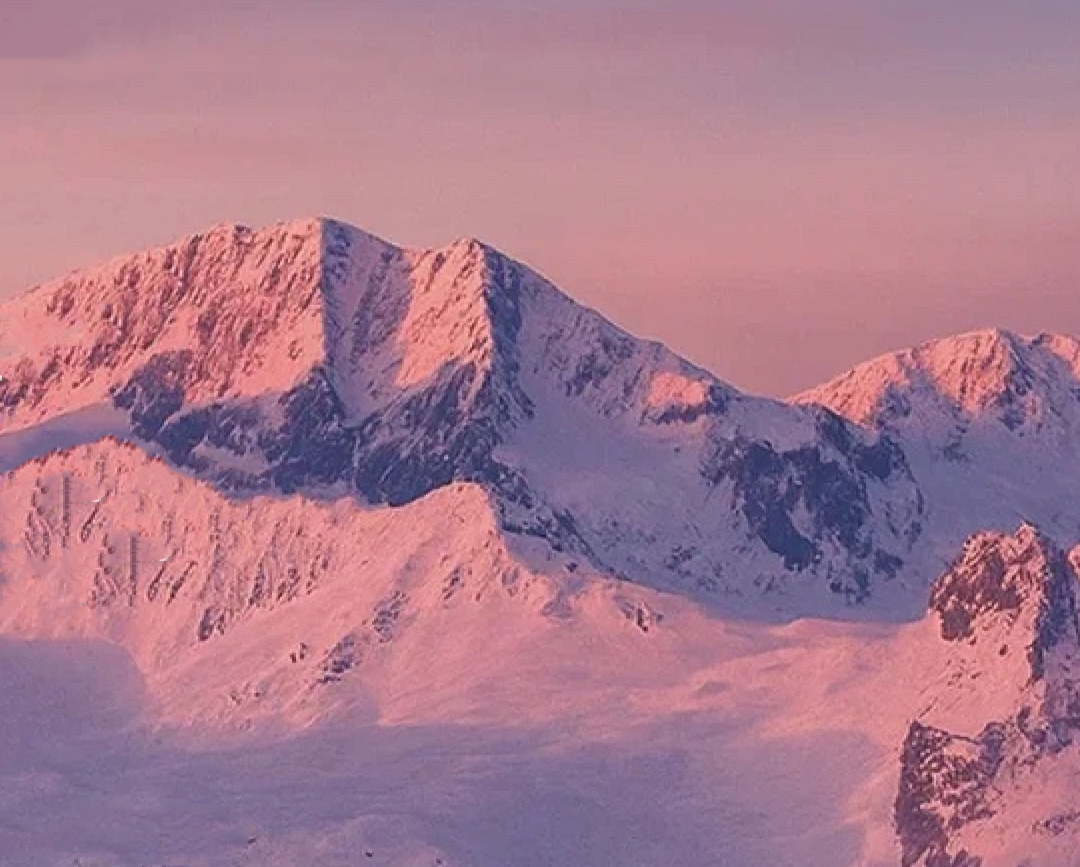 BURO. на выход: светский календарь недели (фото 3)