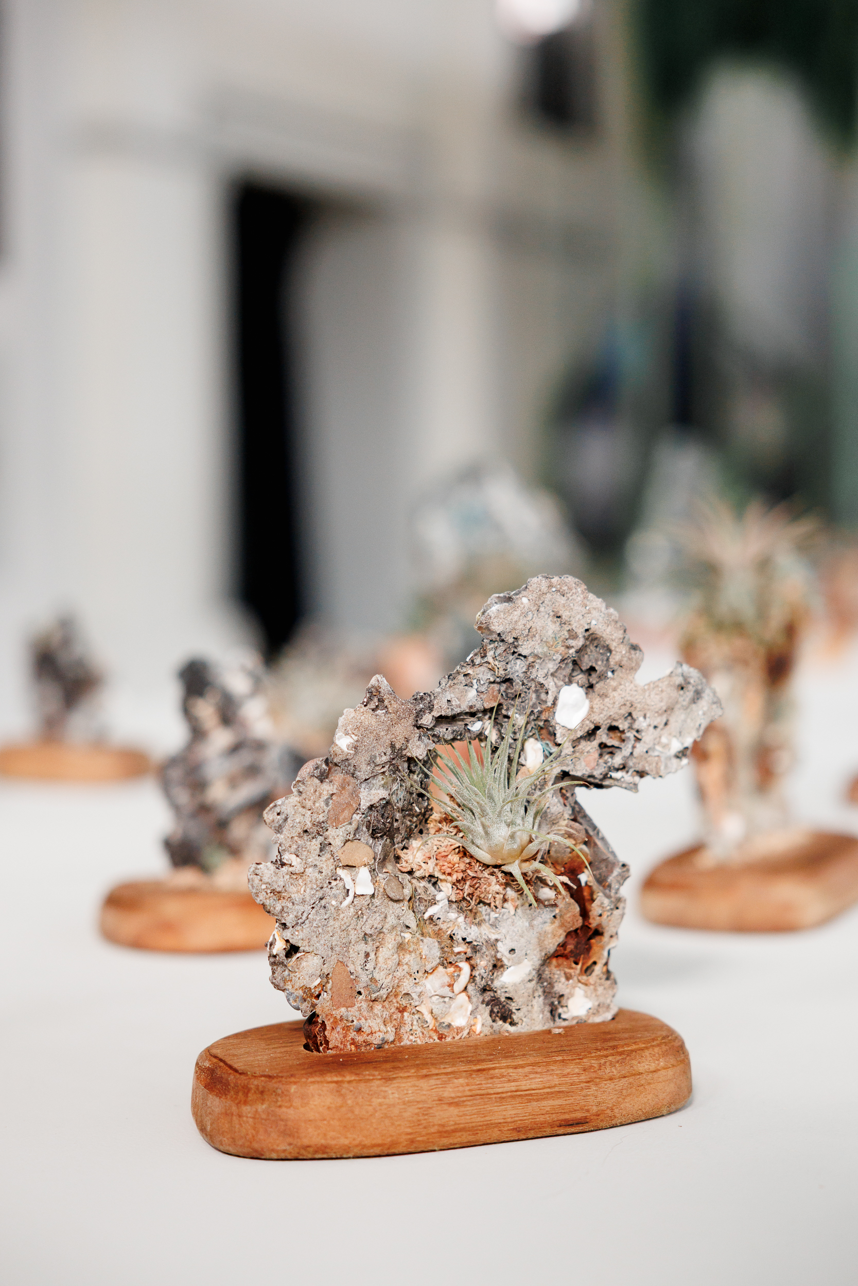 «Не пытаемся спасти Землю — пытаемся спасти себя»: Теджуосо Оланреваджу и Янгкура — об экологическом искусстве (фото 9)