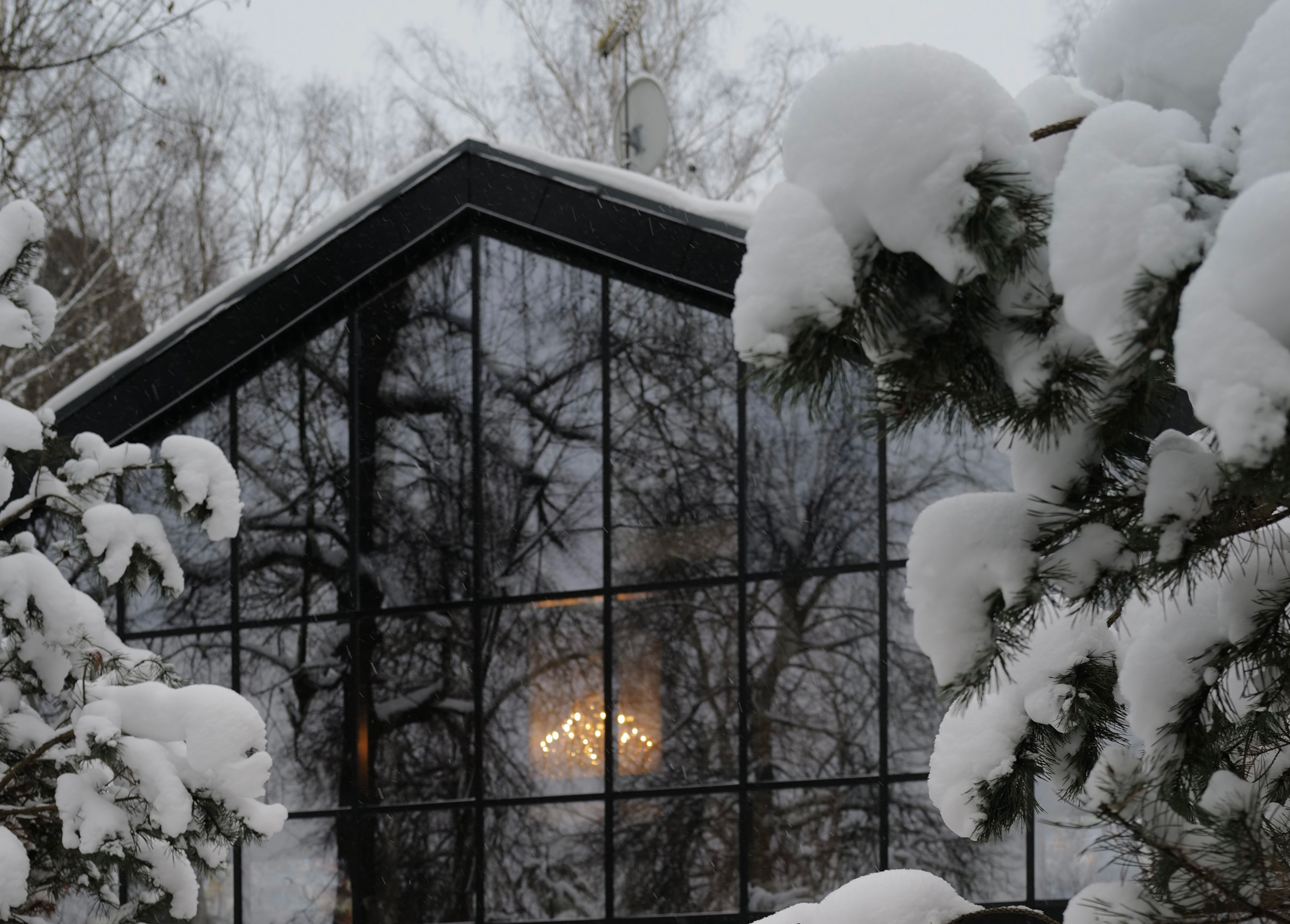 Сказка, тропики и термы: восемь локаций в Подмосковье для зимнего уик-энда (фото 14)