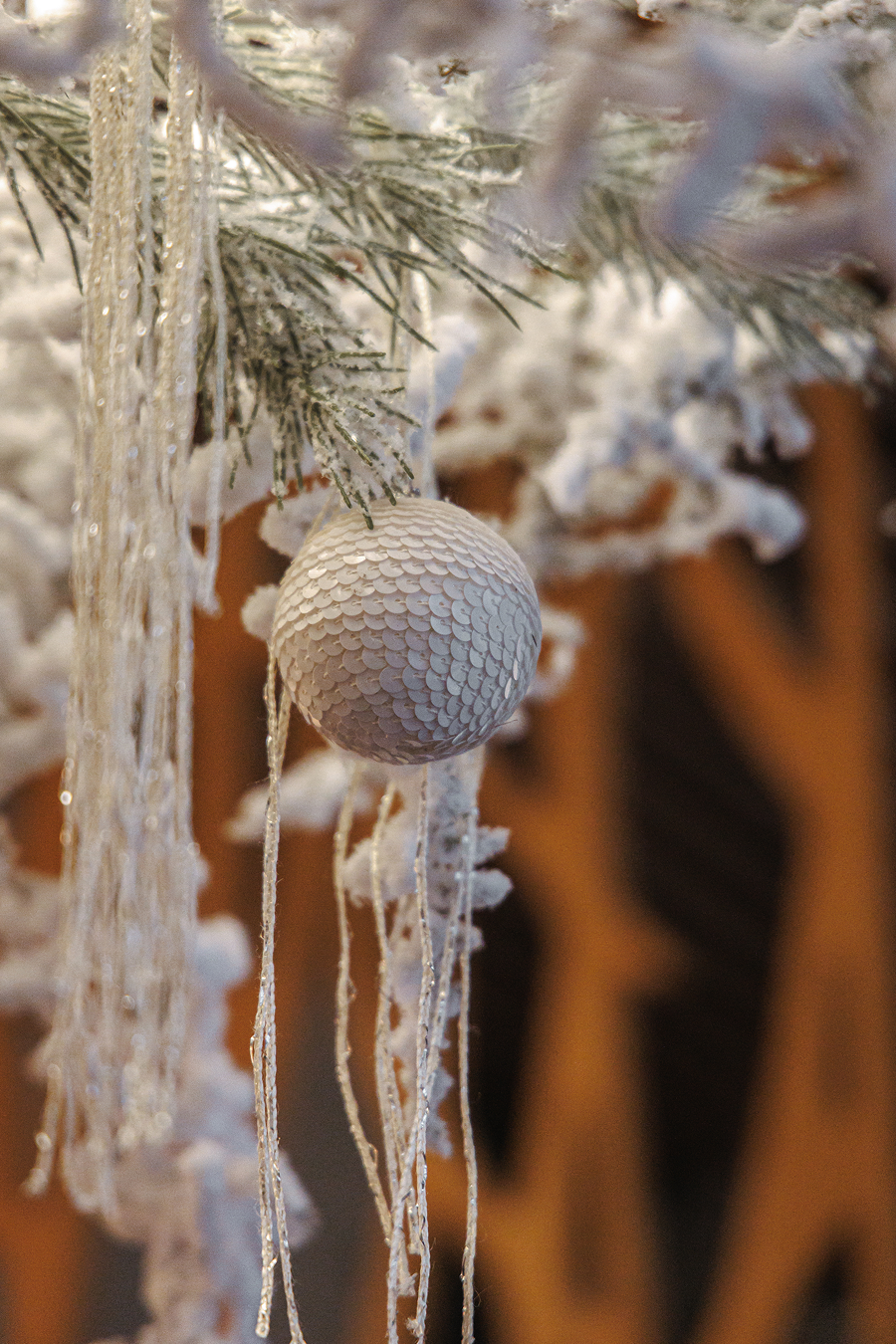 В ресторане Coperto появилось новогоднее меню (фото 10)