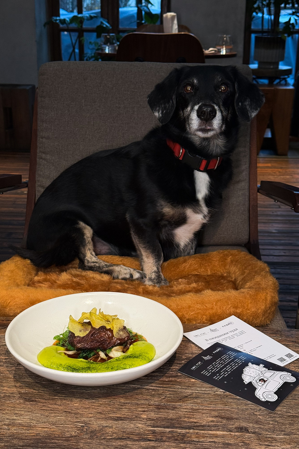 Новости ресторанов: омлет с осьминогом, тартар из оленя и башкирский гусь (фото 6)