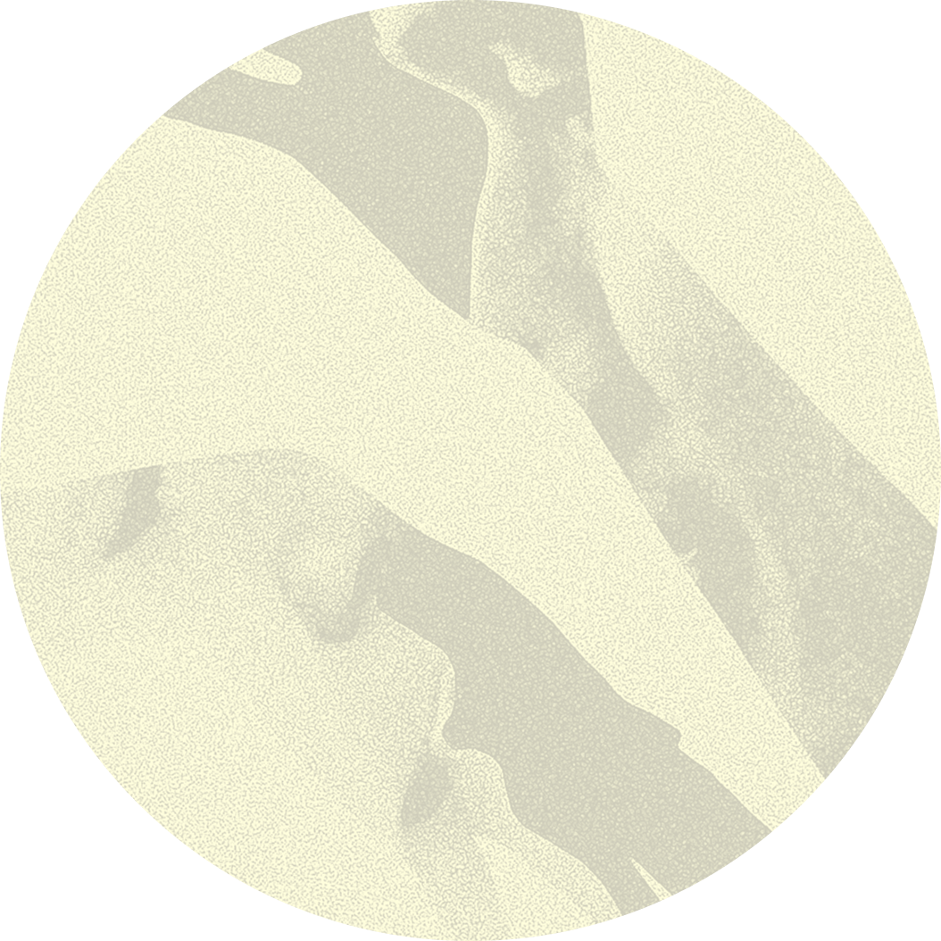 «Выбираем не столько человека, сколько сценарий жизни»: Ольга Хейфиц — о браке и его разновидностях (фото 11)