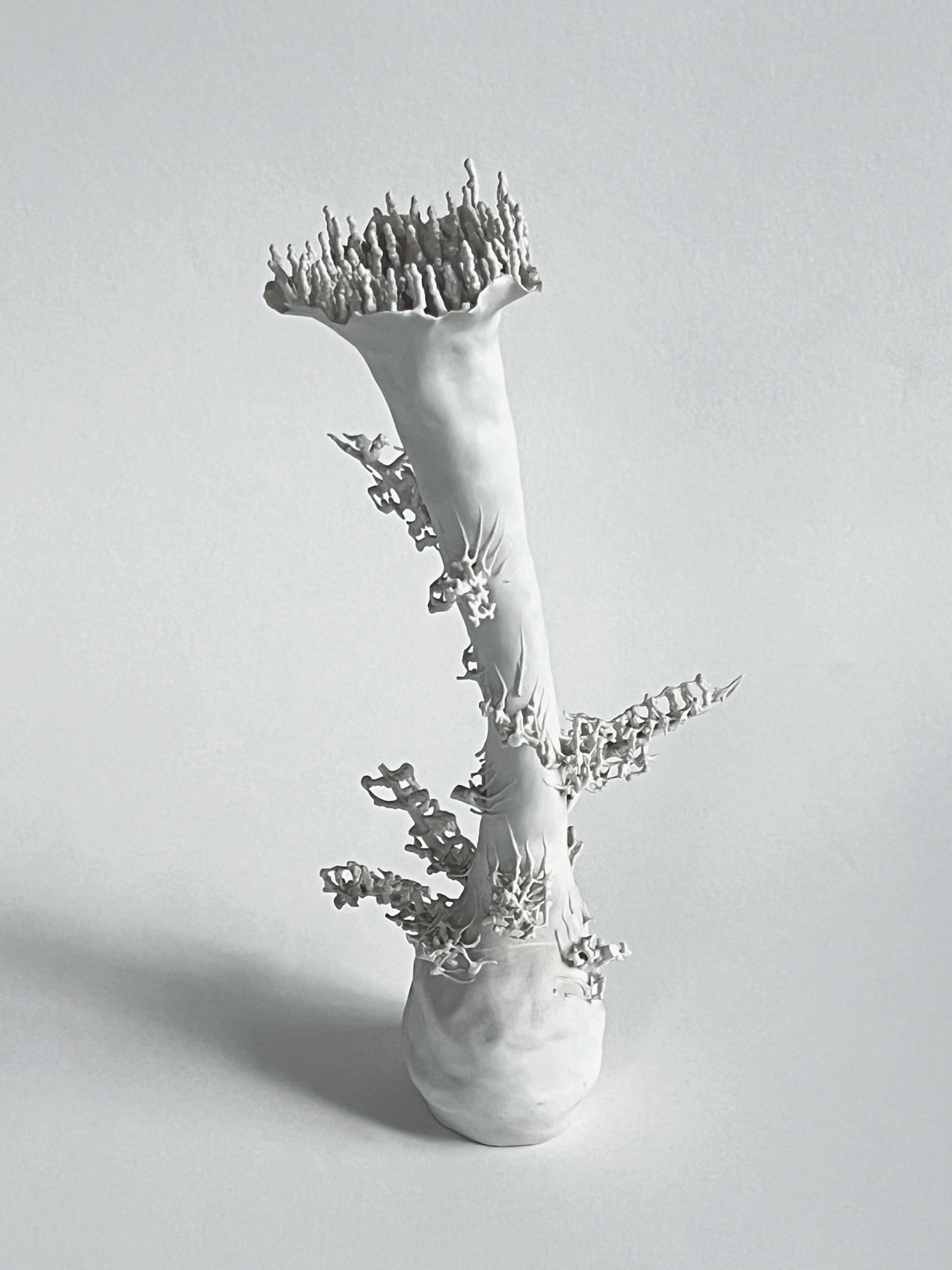 Керамика с характером. У каких российских художников искать объекты для интерьера (фото 9)